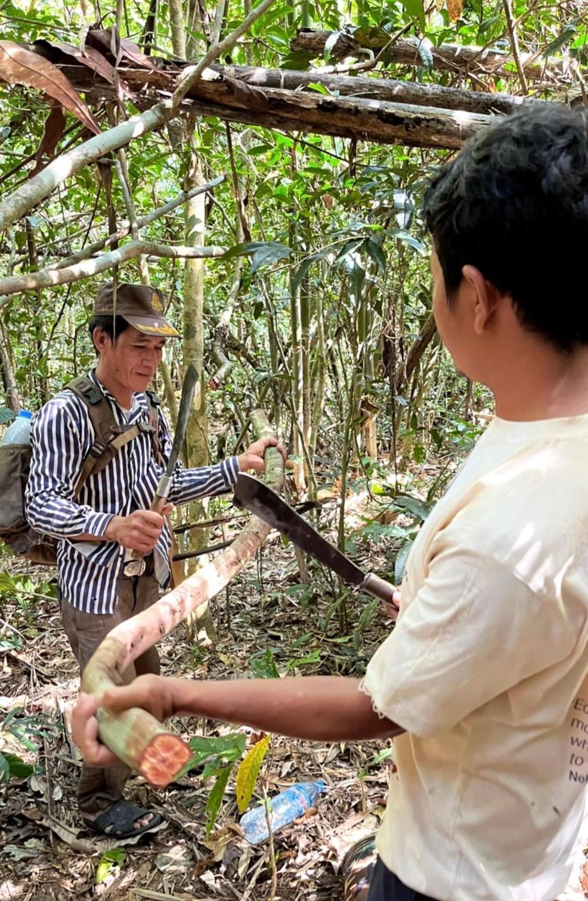 Ratanakiri Farmhouse & Trekking Banlung Eksteriør billede