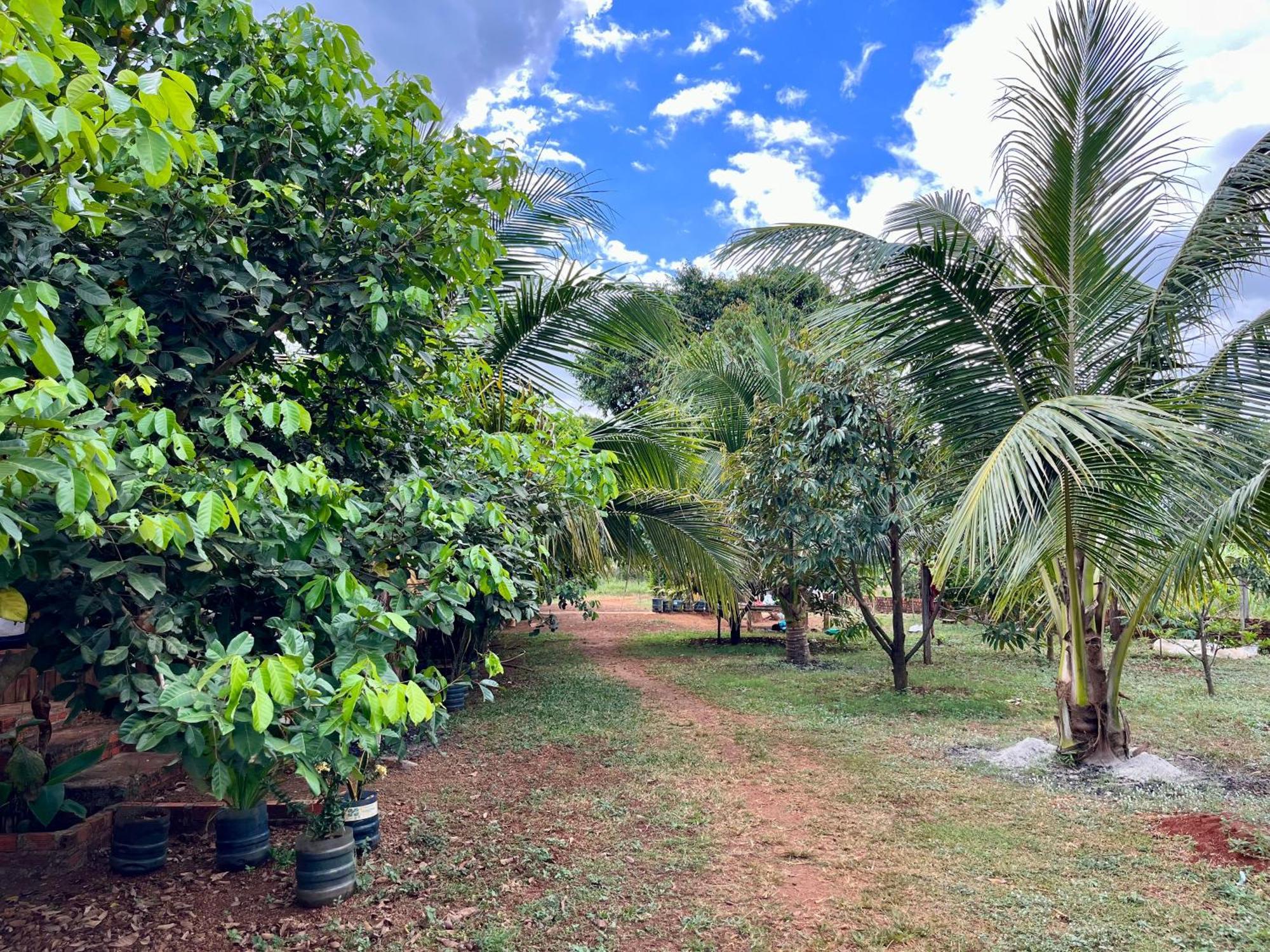 Ratanakiri Farmhouse & Trekking Banlung Eksteriør billede