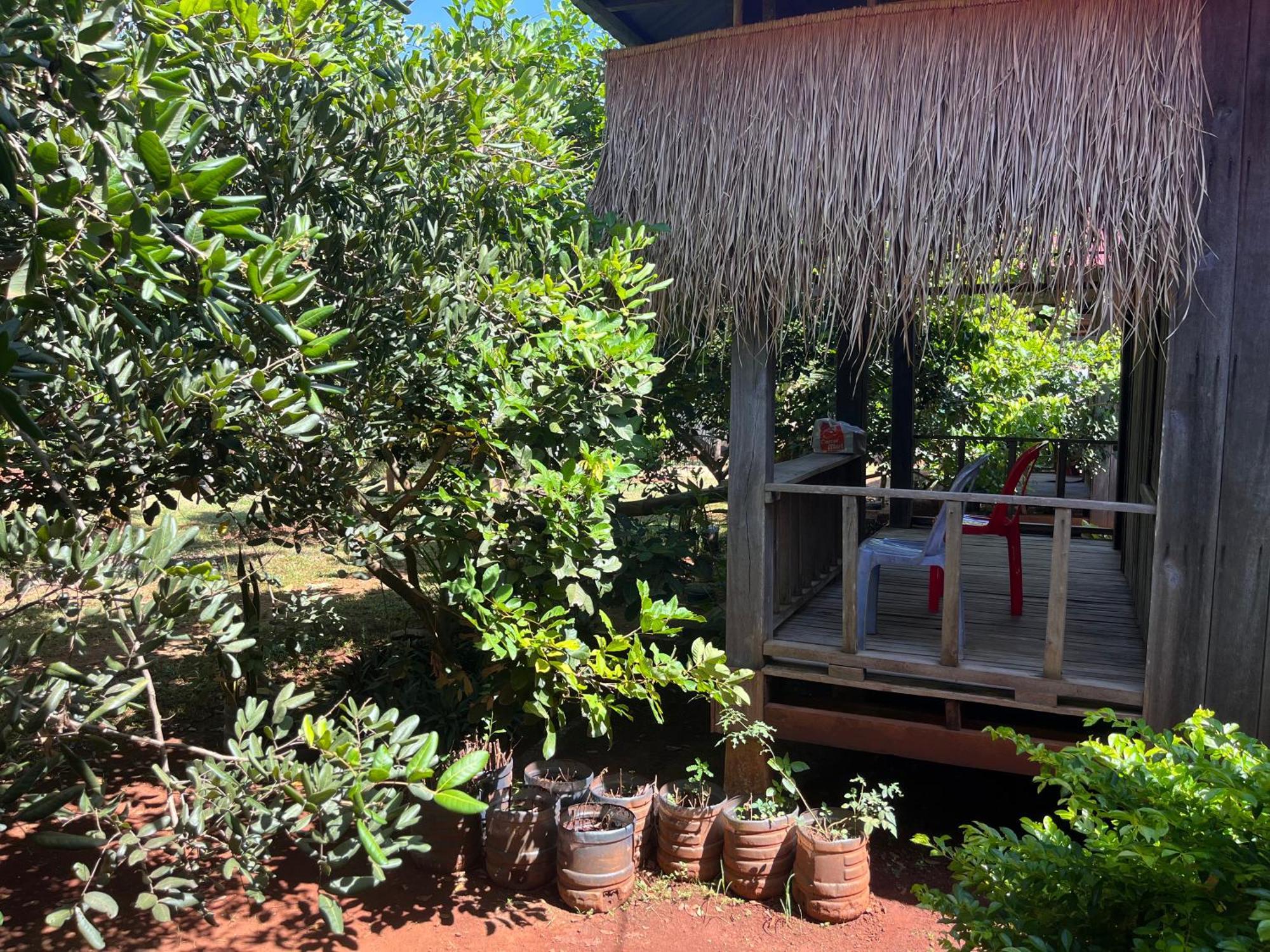 Ratanakiri Farmhouse & Trekking Banlung Eksteriør billede