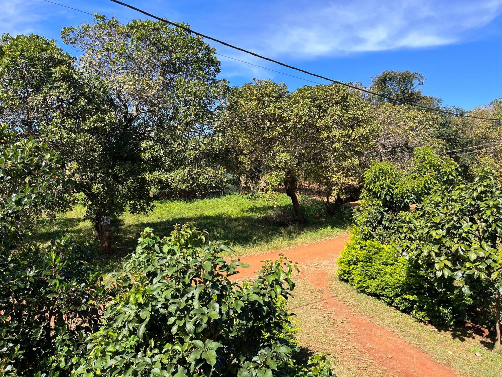 Ratanakiri Farmhouse & Trekking Banlung Eksteriør billede